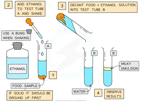 emulsion test for lipids